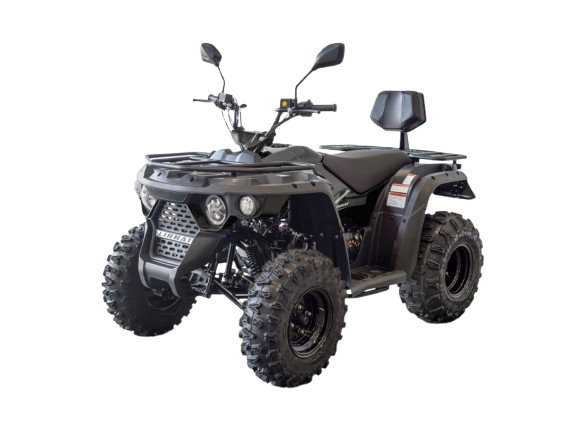 Linhai M210 EFi 2x4