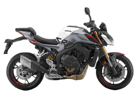 QJMOTOR  SRK 800