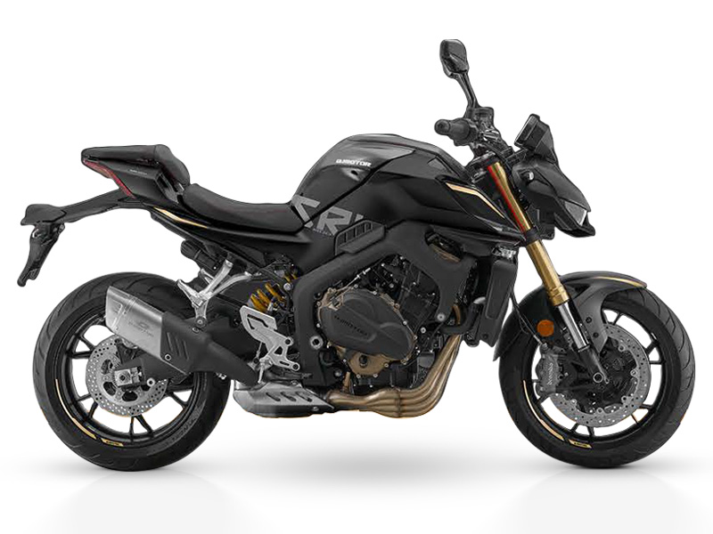 QJMOTOR  SRK 800