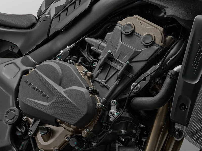 QJMOTOR  SRK 800