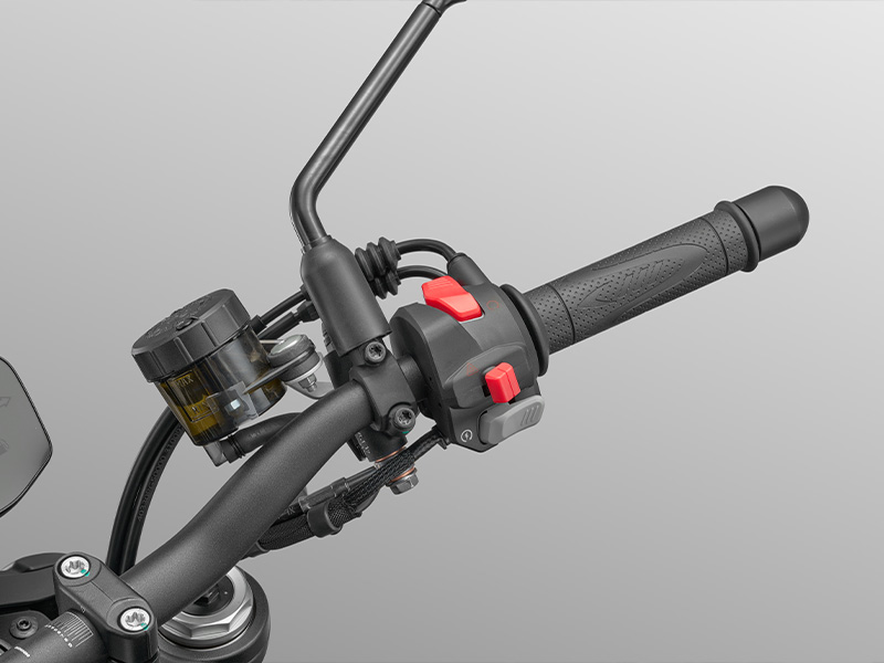 QJMOTOR  SRK 800